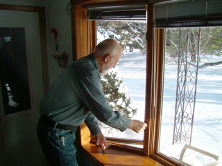 Window inspection