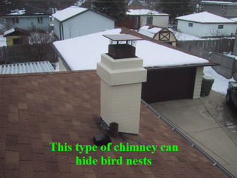 picture of bird nest chimney
